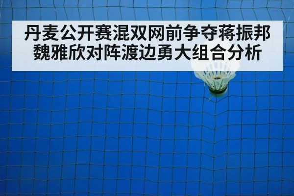 丹麦公开赛混双网前争夺蒋振邦魏雅欣对阵渡边勇大组合分析（kaiyun）
